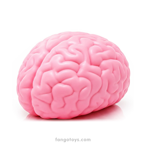 brain-softmart-squishy-jumbo-1-fangotoys
